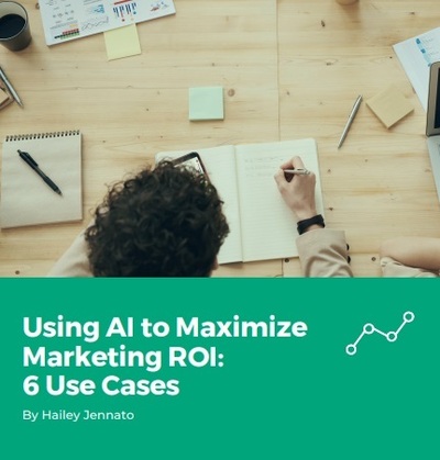 AI to Maximize Marketing ROI